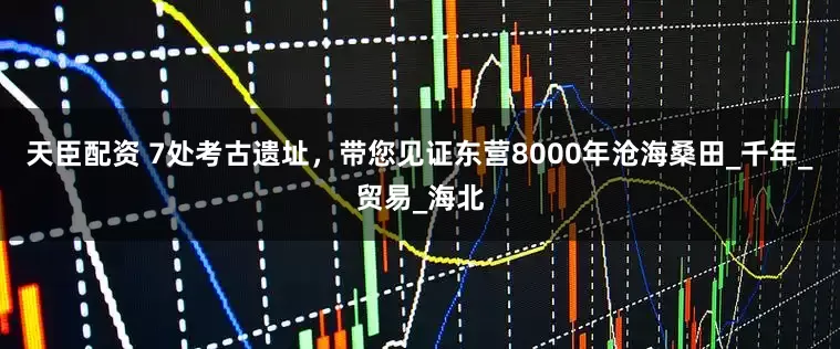 天臣配资 7处考古遗址，带您见证东营8000年沧海桑田_千年_贸易_海北