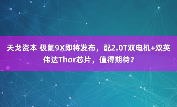 天戈资本 极氪9X即将发布，配2.0T双电机+双英伟达Thor芯片，值得期待？