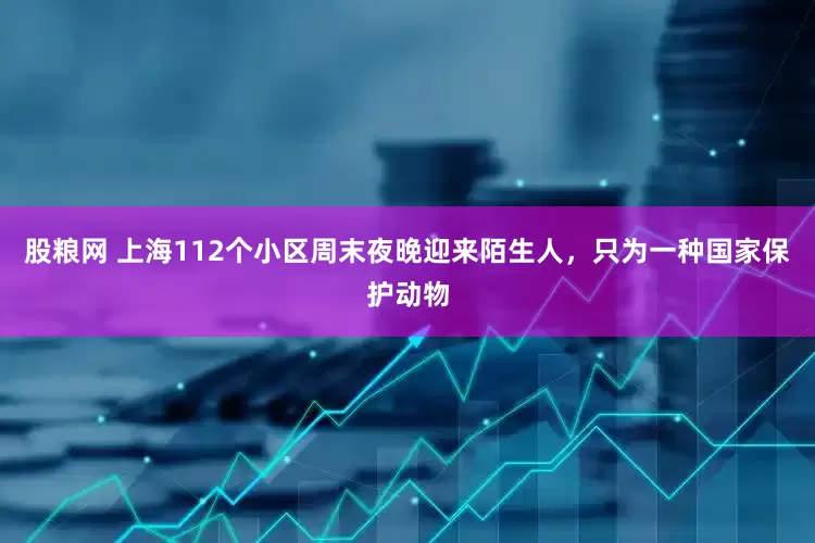 股粮网 上海112个小区周末夜晚迎来陌生人，只为一种国家保护动物