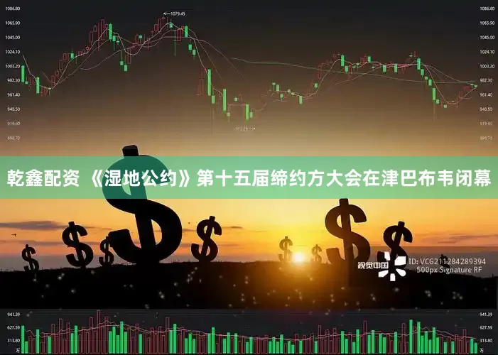 乾鑫配资 《湿地公约》第十五届缔约方大会在津巴布韦闭幕