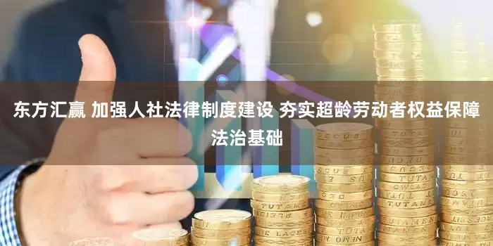 东方汇赢 加强人社法律制度建设 夯实超龄劳动者权益保障法治基础