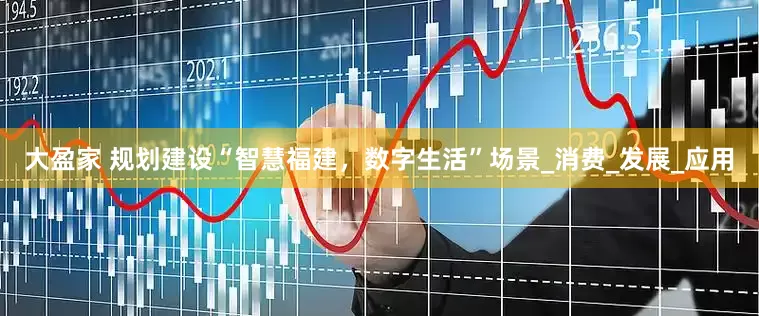 大盈家 规划建设“智慧福建，数字生活”场景_消费_发展_应用