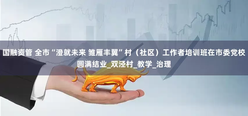 国融资管 全市“澄就未来 雏雁丰翼”村（社区）工作者培训班在市委党校圆满结业_双泾村_教学_治理