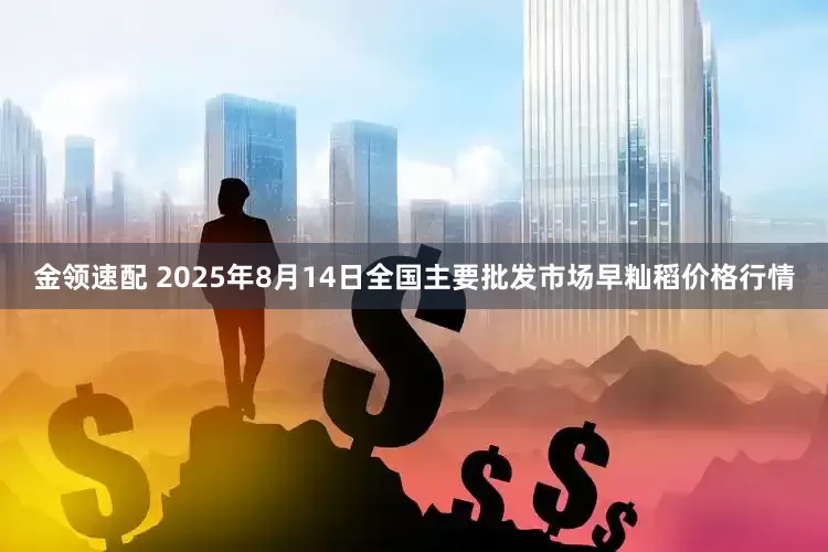 金领速配 2025年8月14日全国主要批发市场早籼稻价格行情