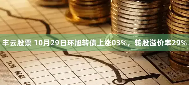 丰云股票 10月29日环旭转债上涨03%，转股溢价率29%